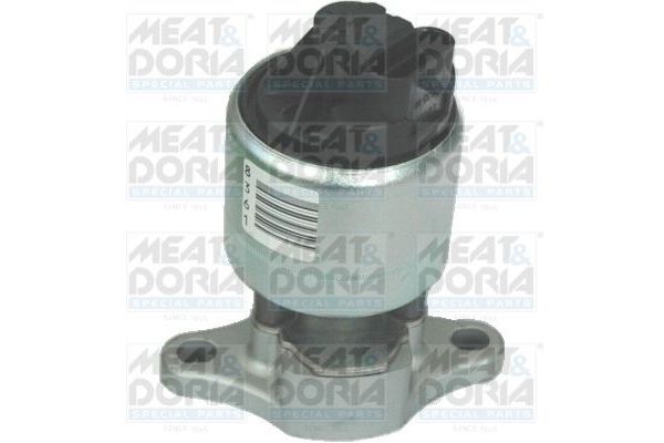 Egr Valfi  Daewoo Kalos (2002->)  PSA ORJINAL 25183476