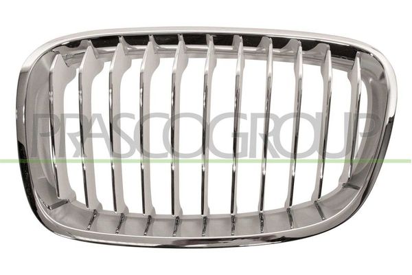 Panjur Ön BMW 1 Serisi 5 Kapı (F20)(2011->)  WENDERPARTS BA0203111