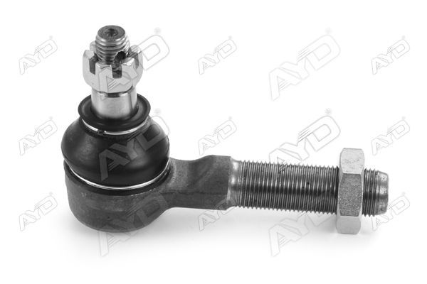 Rot Başı Sol AYD 08823