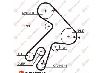 Triger Kayışı  EUROREPAR 1633134980  1356864011 1356887081 1356669065 1356864010 1356864012 1356869065 1356869066 1356869067