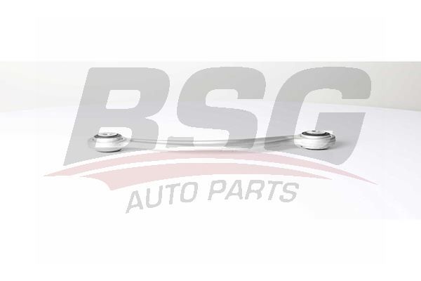 Denge Kolu Arka Sol BSG 60-315-065