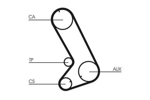 Triger Kayışı  CONTINENTAL CT773