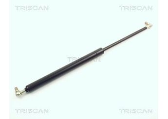 Bagaj Amortisörü Sağ veya Sol MANUS 200901RC/H  21086308010 2108630000000 2108-6300000-00 2108-6308010 2108630801080 2108-6308010-80