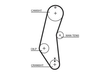 Triger Kayışı  GATES 5018  4250074 4452647 PMTB1 71739899 5889247