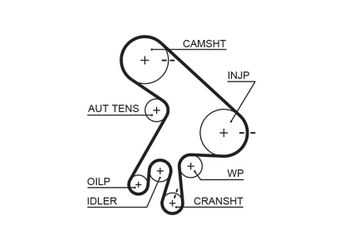 Triger Kayışı  GATES 5562XS  1356827010 1356829035 13568YZZ02 13568-27010 13568-29035 13568-YZZ02