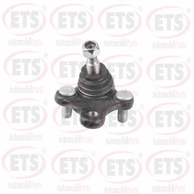 Rotil Alt Sağ RIW HY1036