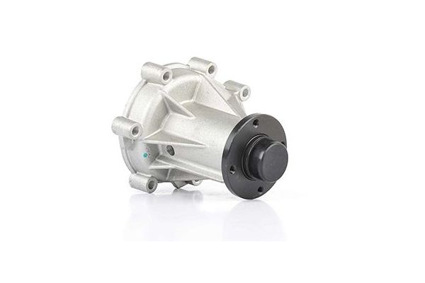 Devirdaim Su Pompası  BSG 60-500-020