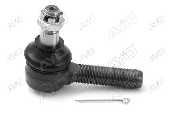 Rot Başı Sol AYD 00169