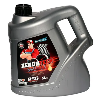 Motor Yağı-Partikül (5 Lt) 5W30  BSG 99-999-067