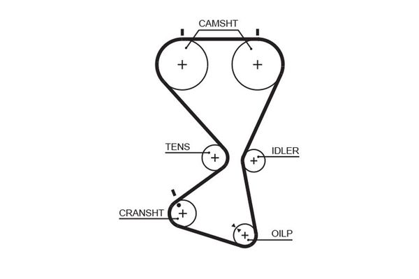 Triger Kayışı  Kia Magentis (MS)(2001->)  GATES 5556XS