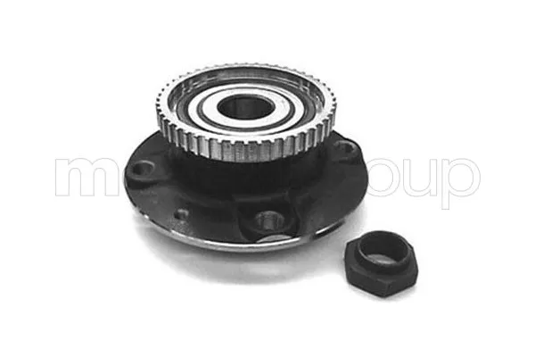 Teker Rulmanı Arka Sağ veya Sol SNR TGB.40540.S06