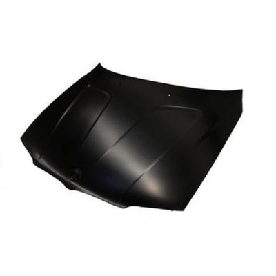 Motor Kaputu  BMW X3 Serisi (E83)(09.2003->)  EUROBUMP BMW08X3003