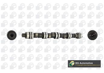 Eksantrik Mili  BGA CS6303  88SM6251CA 88SM 6251 CA 81SM6251LE 81SM 6251 LE 6186554 1614767 81SM6251sLE