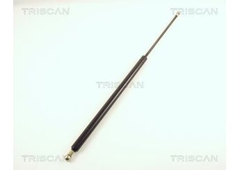 Bagaj Amortisörü Sağ veya Sol PSA ORJINAL 8731C2  8731C2 29491120 873196 00 008 731 C2 873197 8731.97 8731.C2