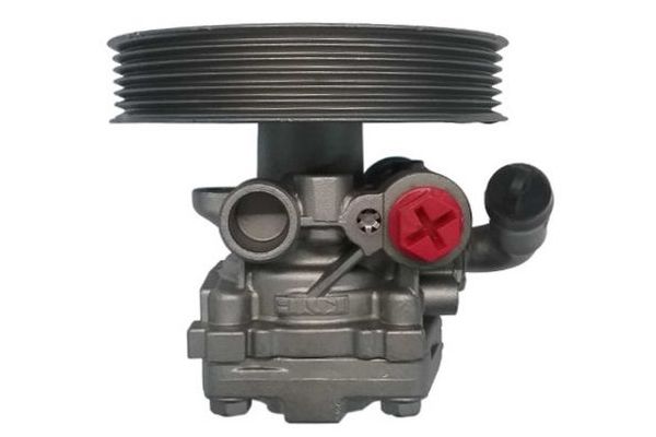 Direksiyon Pompası  SPIDAN 52755