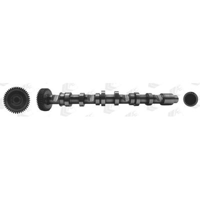 Eksantrik Mili  Volkswagen Polo V (6R1)(06.2009->2014)  GEMSAFT VWTNP12