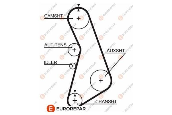 Triger Kayışı  Audi A4 Avant (B5)(11.1994->)  EUROREPAR 1633129780