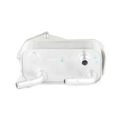 Şanzıman Yağ Soğutucu  BMW X1 Serisi (E84)(2009->)  BSG 15-506-011