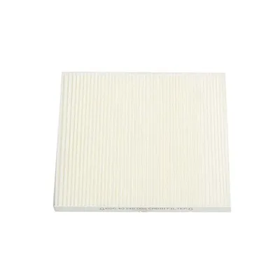 Polen Filtresi  Hyundai Tucson (JM)(2004->)  BSG 40-145-006