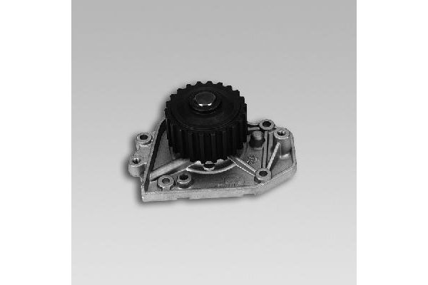 Devirdaim Su Pompası  GK 981784