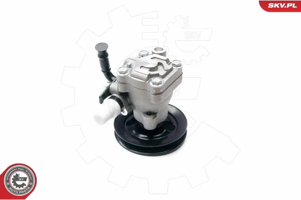 Direksiyon Pompası  SWAPP 63019