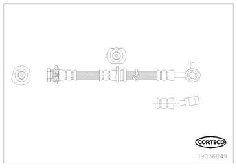 Fren Hortumu Ön Sağ veya Sol KRAFTVOLL 07080336  46210JG01A 46210JG01B 46510JG01A 46510JG01B 24526706253 1987481572 J3701265 PHD1273 T56169 853993 19036848 6T48493 TF7860 1330853993 AH0853 46210-JG01A 46 21 0JG 01A