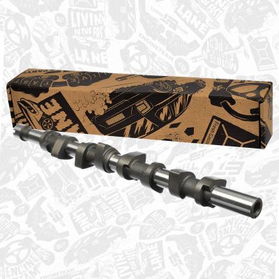 Eksantrik Mili  Renault Clio II (B/CB0)(06.1998->)  SUPSAN E0004056