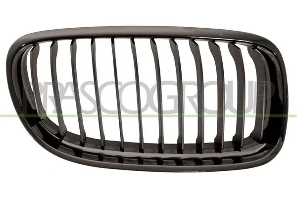 Panjur Ön Sağ EUROBUMP BMW0990005