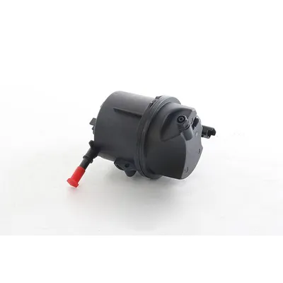 Yakıt Filtresi  Citroen C3 (09.2009->)  BSG 30-130-022
