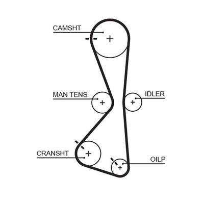 Triger Kayışı  Mitsubishi Grandis (NA0W)(2004->)  GATES 5609XS