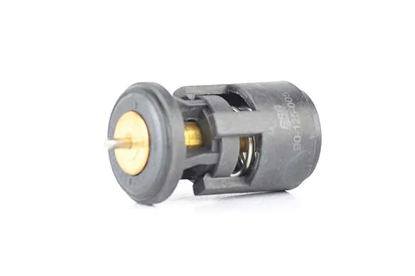 Termostat  MG Rover Mini (1979->12.2000)  BSG BSG 90-125-005