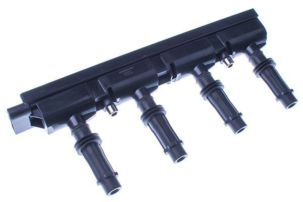 Ateşleme Bobini  FASE 55-404-008