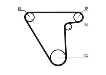 Triger Kayışı  CONTINENTAL CT833  60807260 7614999 7548076