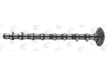 Eksantrik Mili  AMC 647070  11318575435 647070