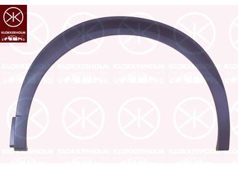 Çamurluk Kaplaması Arka Sağ VORTEX V2809476  98257365XT