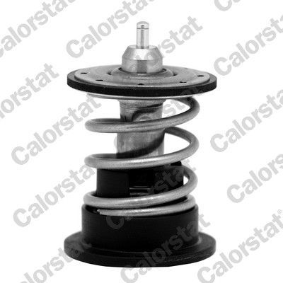 Termostat  BMW X3 Serisi (E83)(09.2003->)  CALORSTAT TH7088.87