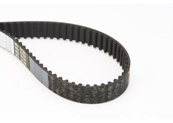 Triger Kayışı  CONTINENTAL CT1140  816K0 0816K0 816K5 0816K5 816K8 0816K8 1609086880 1614152980 1633127280 9672966580 9674247880 9687911580 9467637180 9467642480 1683824 1707030 1876371 9M5Q6K288AB 9M5Q-6K288-AB DS7Q6K288AA DS7Q-6K288-AA 3553131 SU001A0146