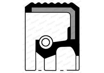 Eksantrik Keçesi  PAYEN NC048  6M5G6K292BA 1004302 1077686 1471482 1904382 96MM6K292A2A 96MM6K292A2B 1E1110602 1E11-10-602 2109970040 30711647 31216283 31330415