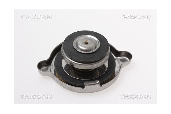 Radyatör Kapağı  BSG 25-551-007