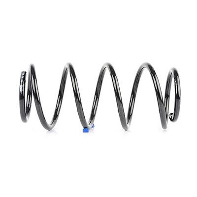 Helezon Yayı Ön BSG 65-305-006