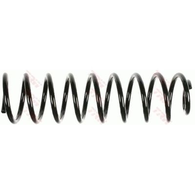 Helezon Yayı Arka VEKA 60-44012