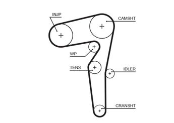 Triger Kayışı  GATES 5646XS  55200072 71777946 46350908 55230434 552304340 55269111 55283550 68283879AA 68283 879AA 68287548AA 68287 548AA K68287548AA 636270 1276162M00