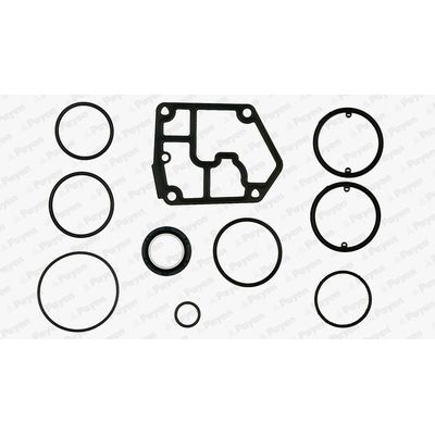 Takım Conta  PAYEN EF5380