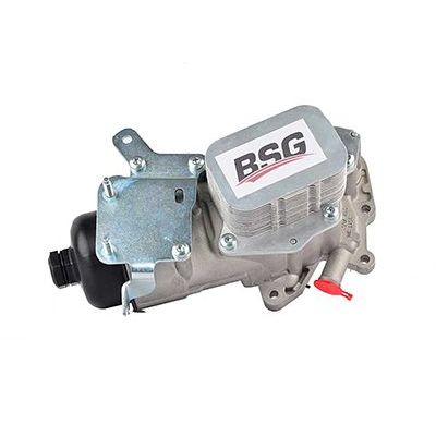 Motor Yağ Soğutucu  Ford Grand Tourneo Connect (2013->)  BSG 30-116-106