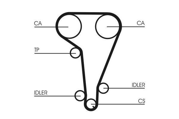Triger Kayış Seti  Ford Escort Cabrio (1991->)  CONTINENTAL CT728WP2