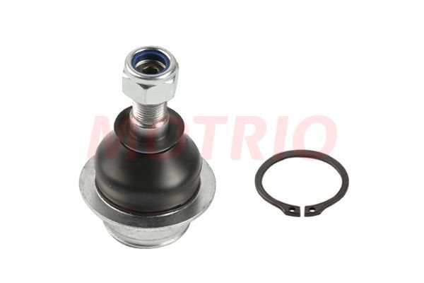 Rotil Alt Sağ veya Sol MOTRIO 8550501403