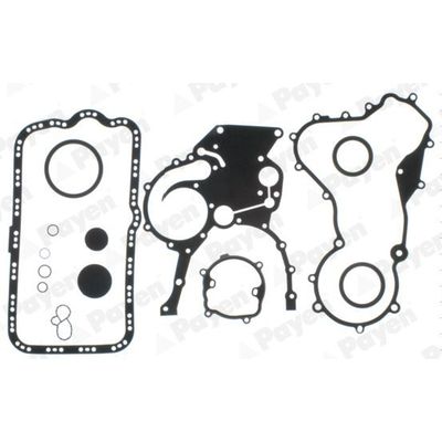 Takım Conta  PAYEN EE5220