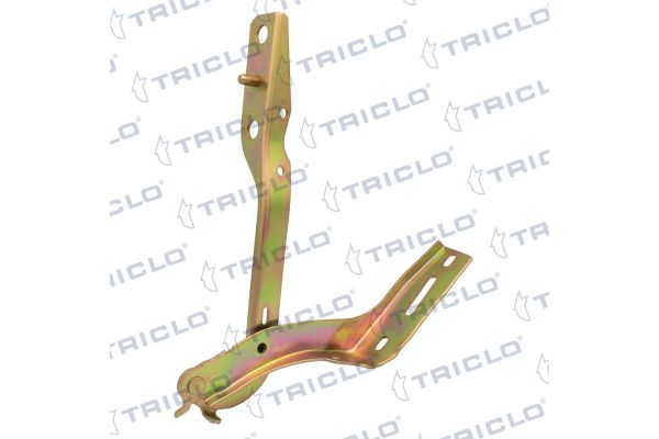 Motor Kaput Menteşesi Sağ BITAPART BPE276025