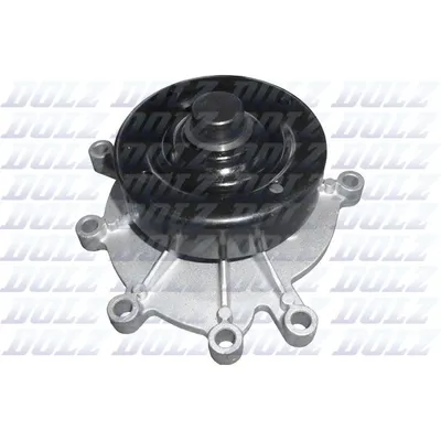 Devirdaim Su Pompası  DOLZ C146