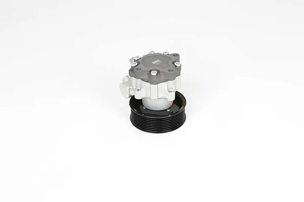 Direksiyon Pompası  Land Rover Range Rover (LM)(01.2002->)  BSG 15-355-030